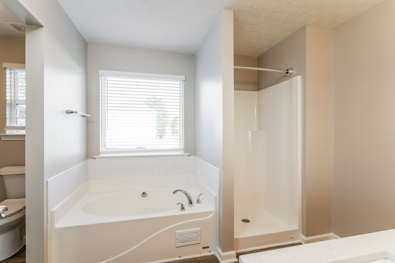 1,805/Mo, 1385 Lafayette Square McDonough, GA 30252 Main Bathroom View