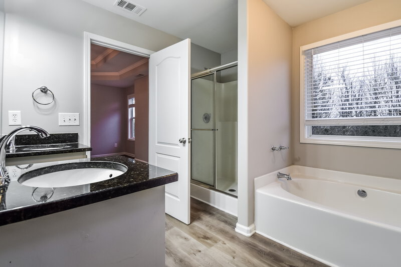 3,880/Mo, 1950 Lily Valley Dr Lawrenceville, GA 30045 Main Bathroom View