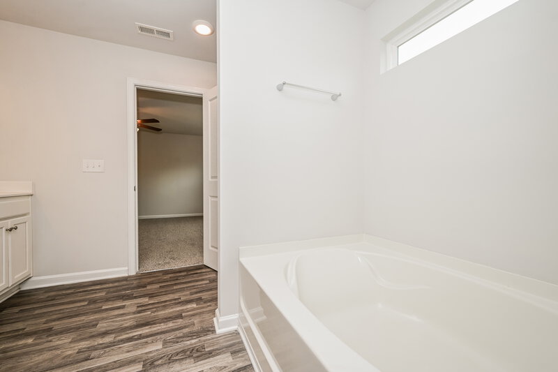 2,115/Mo, 713 Hamilton Pointe Ct McDonough, GA 30253 Main Bathroom View