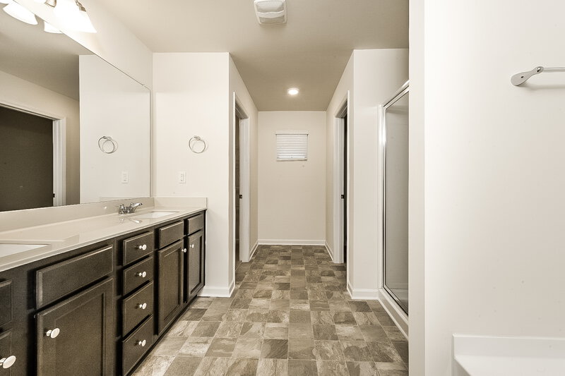 2,380/Mo, 363 Hamilton Pointe Dr McDonough, GA 30253 Main Bathroom View