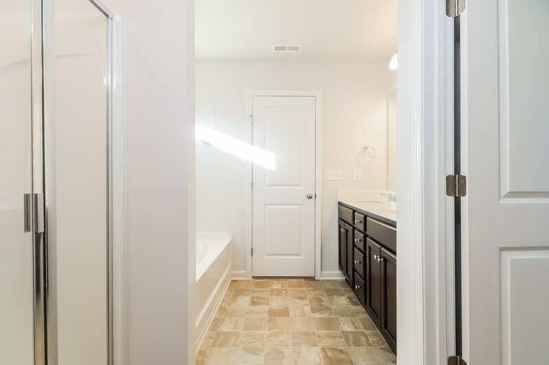 2,320/Mo, 136 Hamilton Pointe Dr McDonough, GA 30253 Main Bathroom View