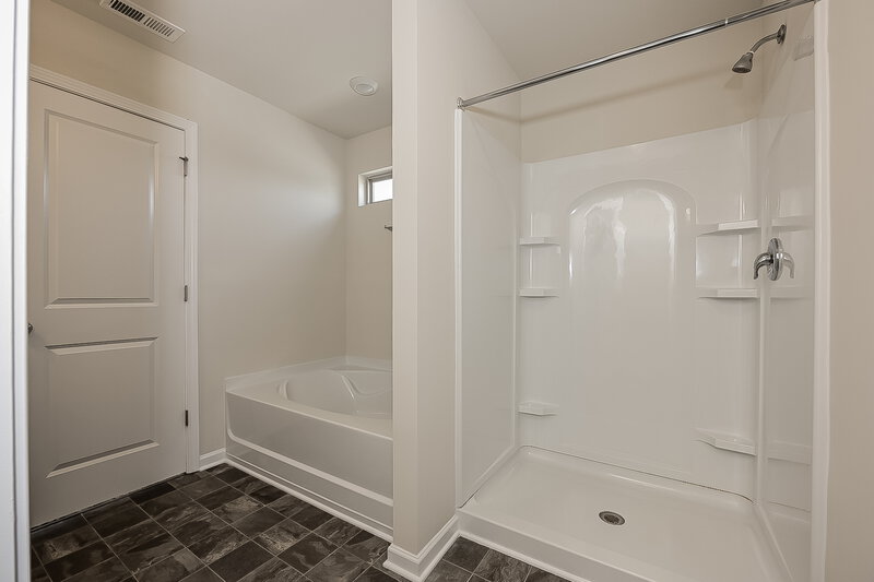 4,000/Mo, 316 Hamilton Pointe Dr McDonough, GA 30253 Main Bathroom View