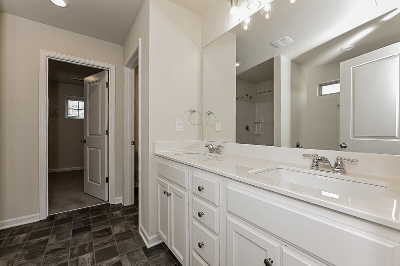 4,000/Mo, 316 Hamilton Pointe Dr McDonough, GA 30253 Main Bathroom View 2