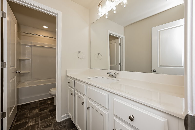 4,000/Mo, 316 Hamilton Pointe Dr McDonough, GA 30253 Bathroom View