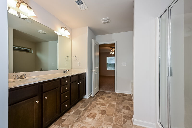 2,305/Mo, 120 Hamilton Pointe Dr McDonough, GA 30253 Main Bathroom View