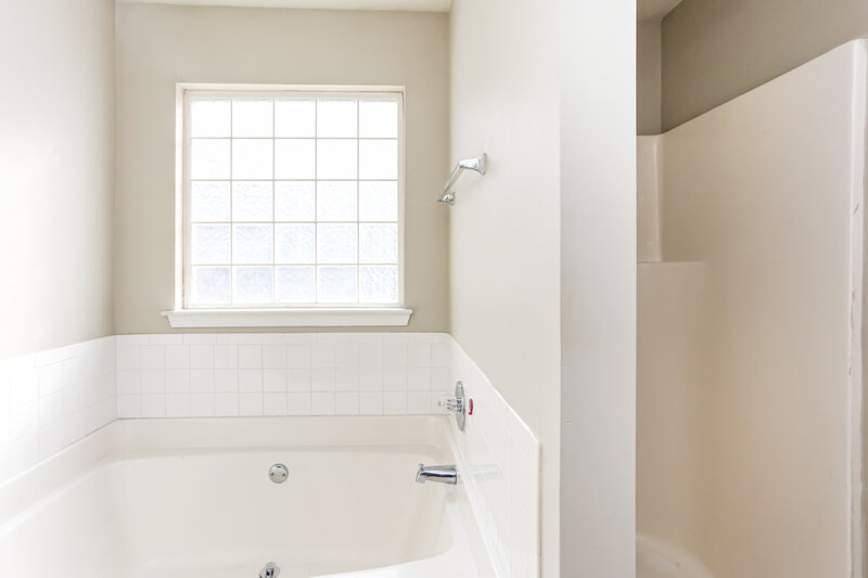 2,615/Mo, 4202 Cedar Tree Run Snellville, GA 30039 Bathroom View