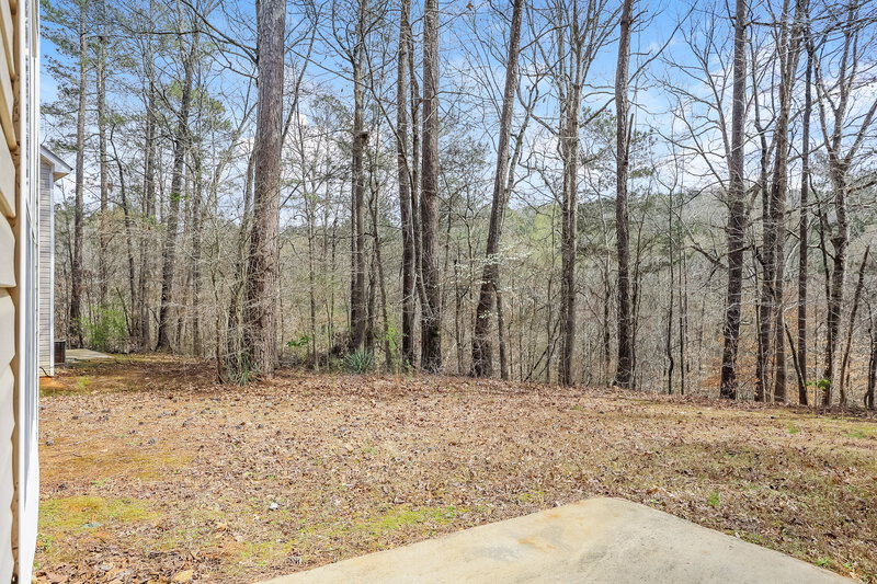 2,610/Mo, 3179 Lower Creek Dr Douglasville, GA 30135 Patio View