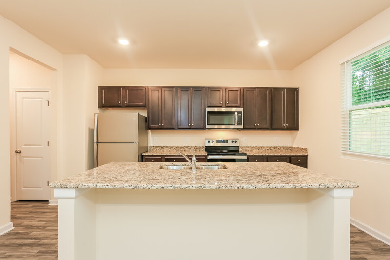 3,310/Mo, 203 Hamilton Pointe Drive McDonough, GA 30253 Kitchen View