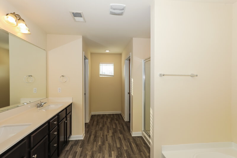 2,345/Mo, 203 Hamilton Pointe Drive McDonough, GA 30253 Main Bathroom View