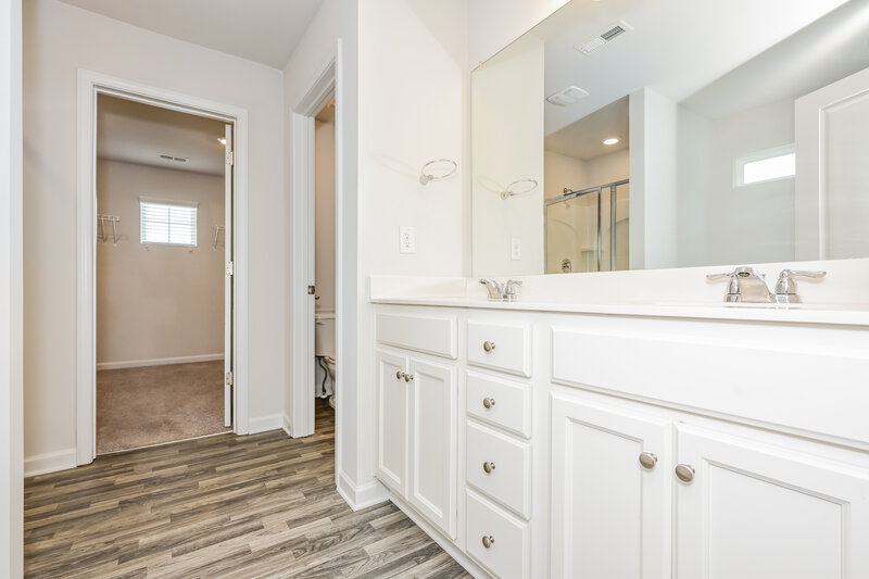 2,435/Mo, 207 Hamilton Pointe Drive McDonough, GA 30253 Main Bathroom View 2