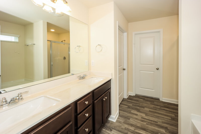 3,380/Mo, 247 Hamilton Pointe Drive McDonough, GA 30253 Main Bathroom View