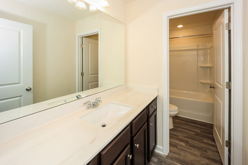 3,380/Mo, 247 Hamilton Pointe Drive McDonough, GA 30253 Main Bathroom View 2