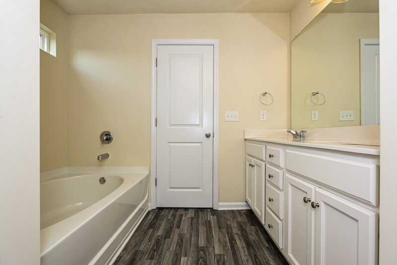 2,505/Mo, 291 Hamilton Pointe Drive McDonough, GA 30253 Main Bathroom View