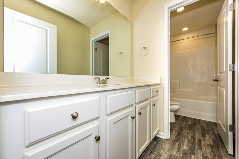 2,505/Mo, 291 Hamilton Pointe Drive McDonough, GA 30253 Bathroom View 2