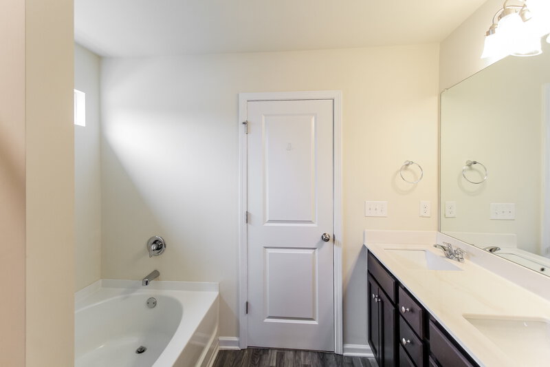 3,520/Mo, 295 Hamilton Pointe Drive McDonough, GA 30253 Main Bathroom View