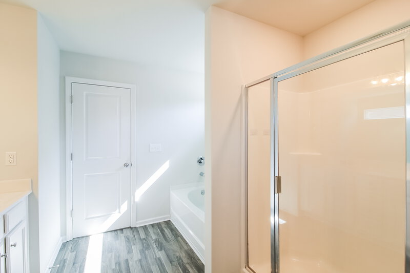 2,255/Mo, 299 Hamilton Pointe Drive McDonough, GA 30253 Main Bathroom View