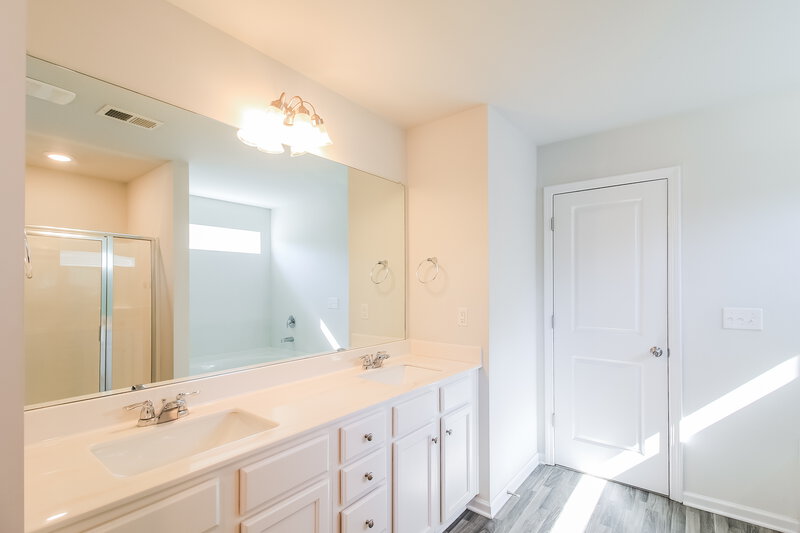 2,255/Mo, 299 Hamilton Pointe Drive McDonough, GA 30253 Main Bathroom View 2