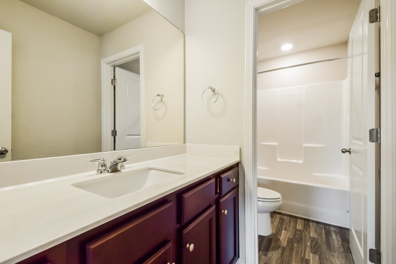2,450/Mo, 307 Hamilton Pointe Drive McDonough, GA 30253 Bathroom View