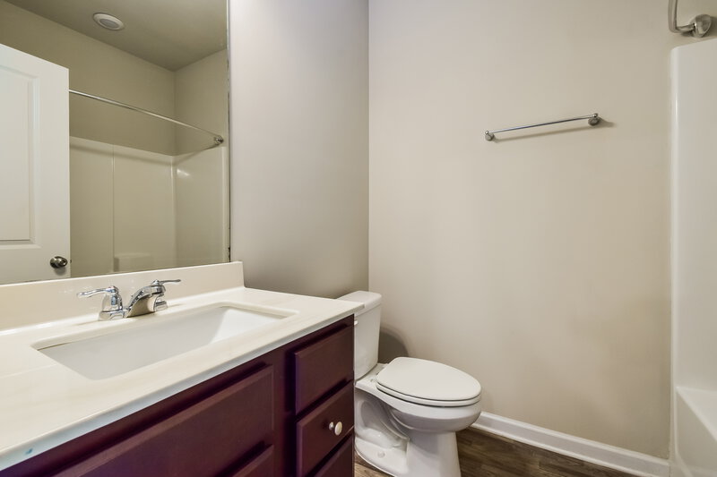 2,450/Mo, 307 Hamilton Pointe Drive McDonough, GA 30253 Bathroom View 2
