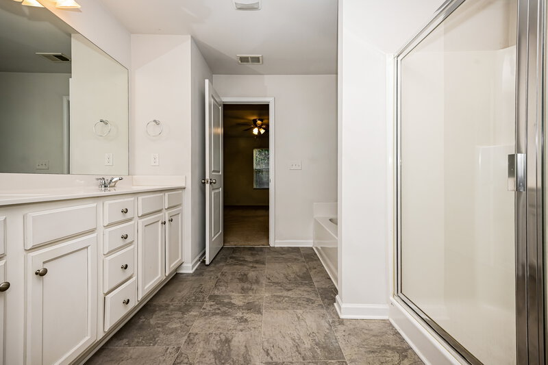 2,300/Mo, 371 Hamilton Pointe Drive McDonough, GA 30253 Main Bathroom View 2