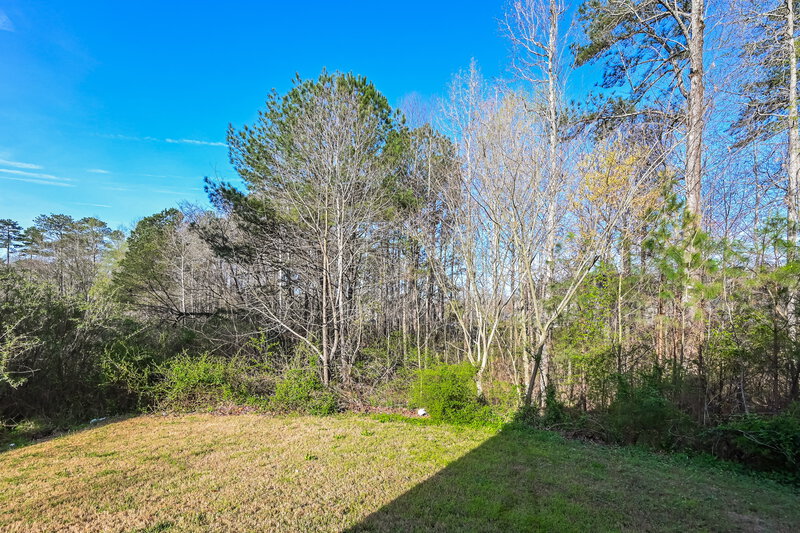 2,170/Mo, 1311 Stella Court Lawrenceville, GA 30046 Rear View 2