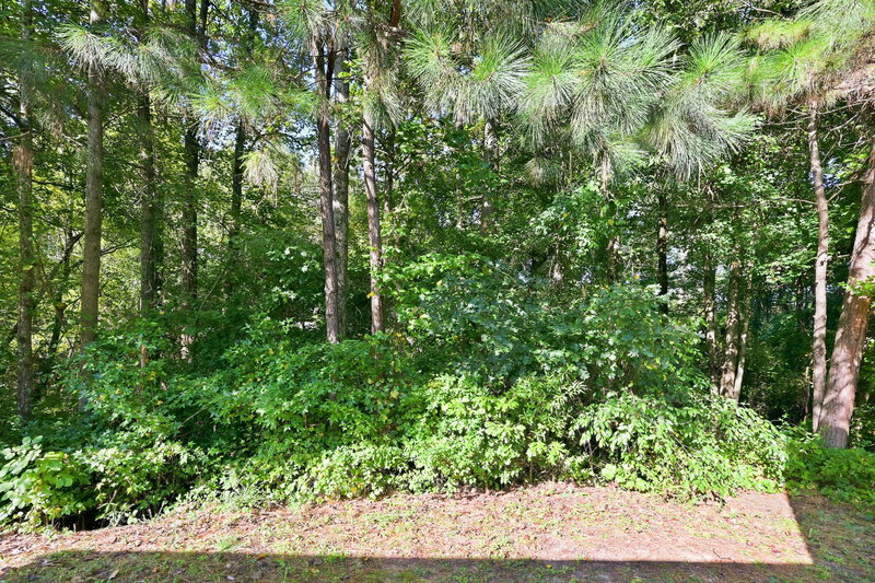 0/Mo, 1015 Amelia Grove Ln Lawrenceville, GA 30045 Backyard View