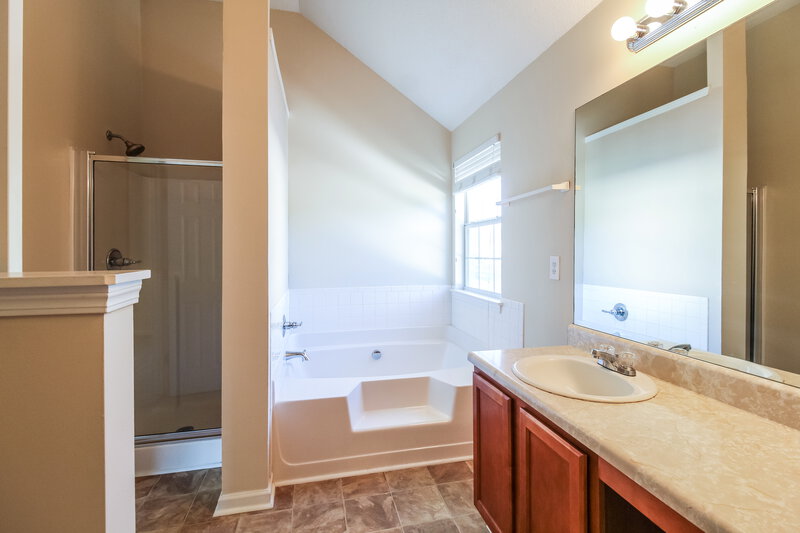 3,080/Mo, 824 Brisley Cir Hampton, GA 30228 Main Bathroom View