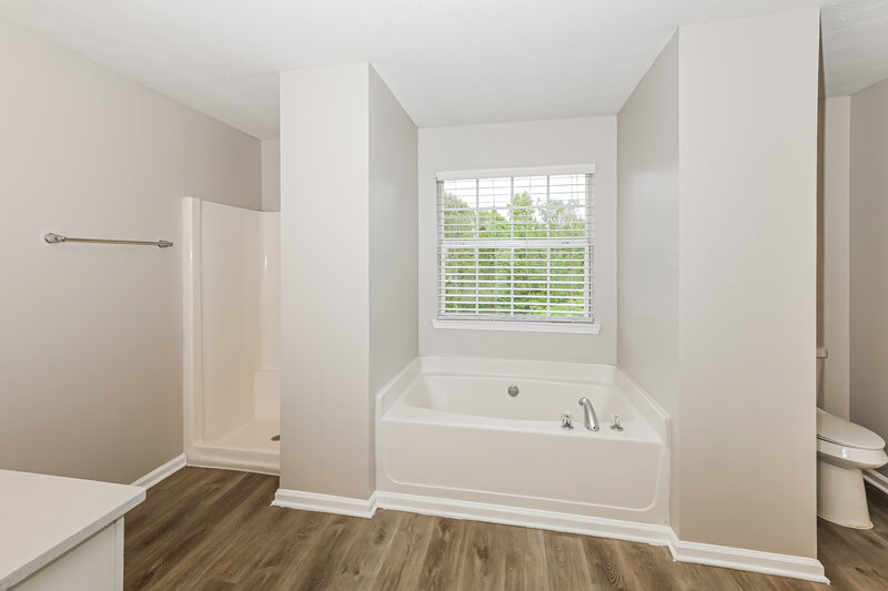 2,990/Mo, 766 Patriots Point St Locust Grove, GA 30248 Main Bathroom View