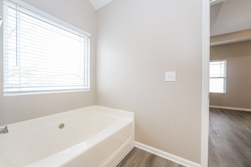 1,900/Mo, 4014 Haworth Pkwy McDonough, GA 30253 Main Bathroom View 2