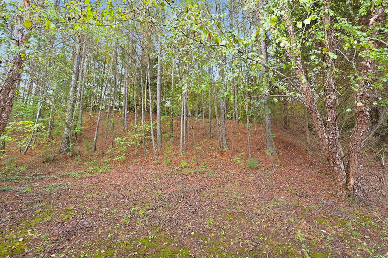 1,820/Mo, 3827 Waldrop Hills Dr Decatur, GA 30034 Backyard View