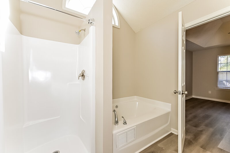 2,100/Mo, 210 Coldsprings Ct McDonough, GA 30253 Main Bathroom View 2
