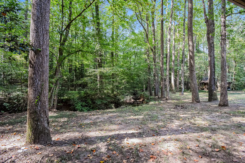2,960/Mo, 650 Kurtz Rd Marietta, GA 30066 Backyard View