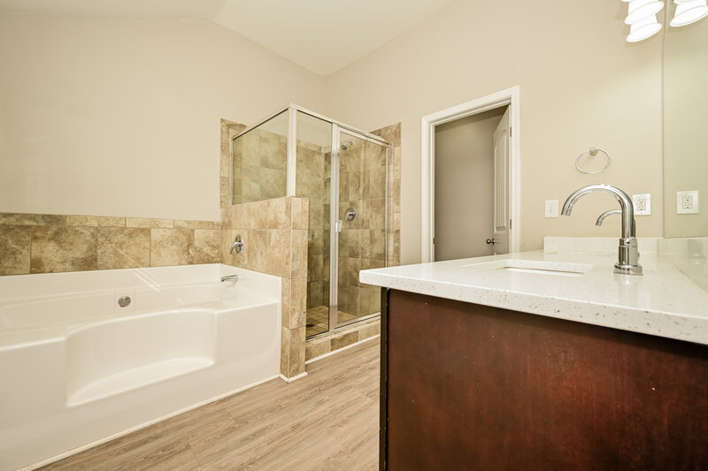 2,390/Mo, 1396 Worcester Trl McDonough, GA 30253 Main Bathroom View