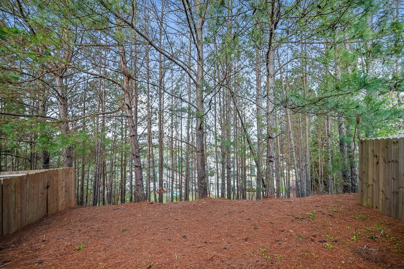 2,175/Mo, 581 Shadow Valley Ct Lithonia, GA 30058 Rear View 2