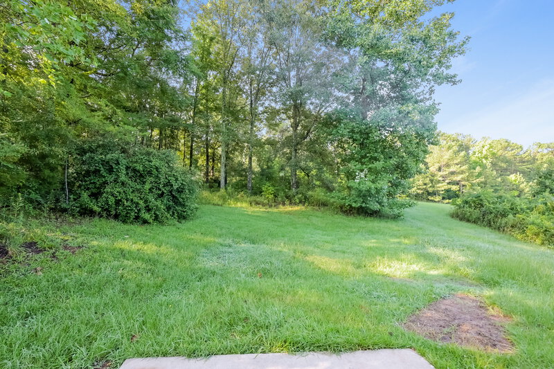 2,330/Mo, 45 Pebble Ridge Dr Covington, GA 30014 Backyard View