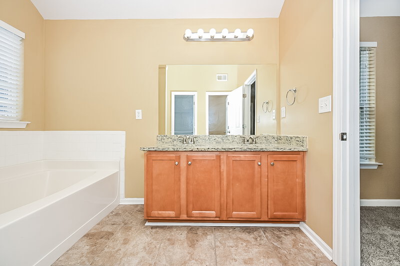 1,975/Mo, 6490 Grey Fox Way Riverdale, GA 30296 Main Bathroom View 2