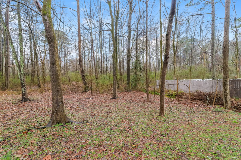 2,075/Mo, 1270 BRAYS MILL Trace Lawrenceville, GA 30044 Backyard View