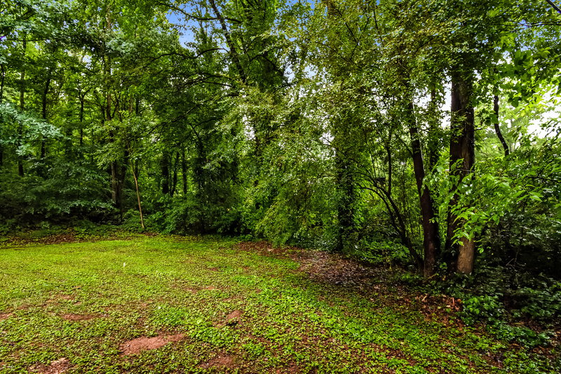 2,460/Mo, 24 Alisha Cir Cartersville, GA 30121 Exterior View