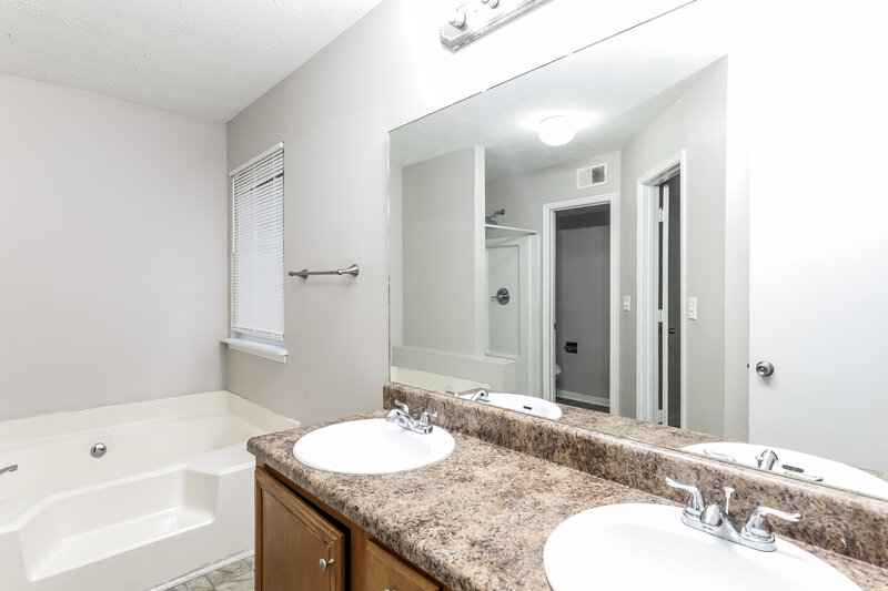 1,875/Mo, 431 Thomas Downs Way Jonesboro, GA 30238 Main Bathroom View