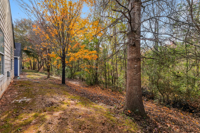 1,805/Mo, 6626 Browns Mill Ferry Dr Lithonia, GA 30038 Rear View