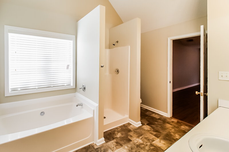 1,780/Mo, 4722 Browns Mill Ferry Rd Lithonia, GA 30038 Main Bathroom View