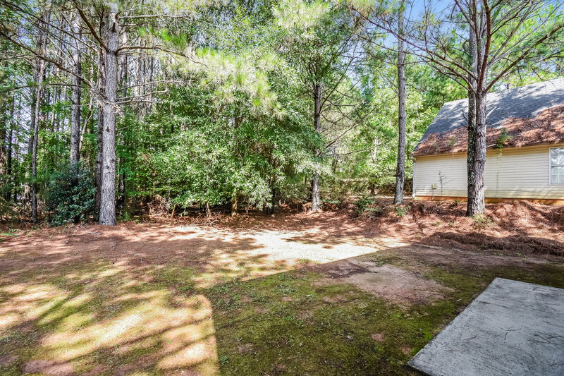 1,775/Mo, 4739 Browns Mill Ferry Rd Lithonia, GA 30038 Rear View