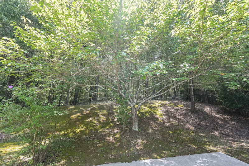1,890/Mo, 4371 Fiddlers Bend Loganville, GA 30052 Backyard View
