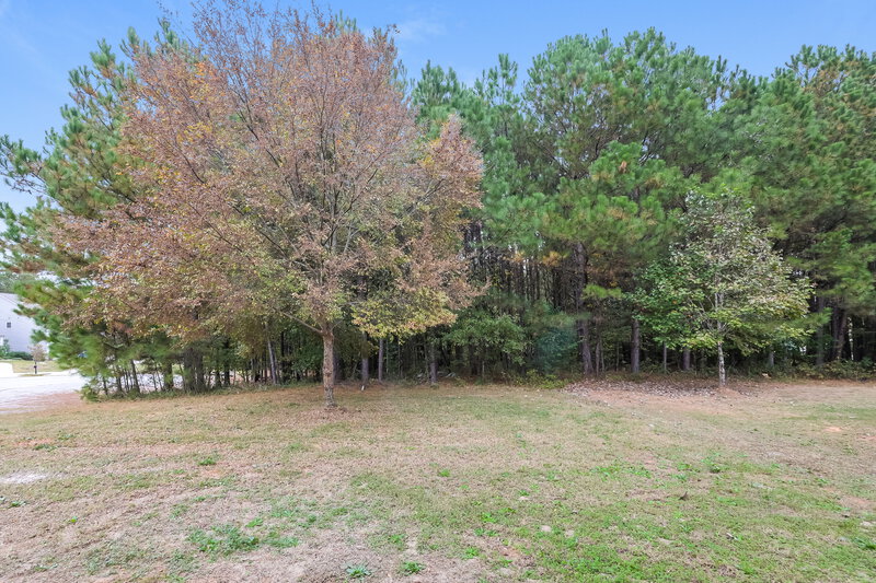 3,290/Mo, 131 Shadow Creek Court Fairburn, GA 30213 Backyard View