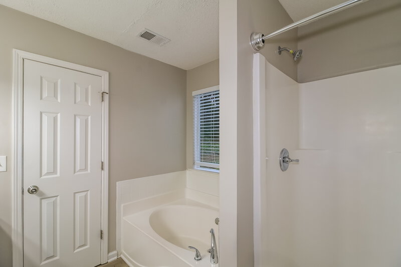 2,700/Mo, 1205 Redbud ct McDonough, GA 30253 Main Bathroom View