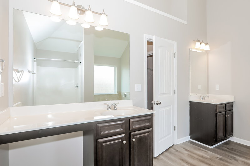 2,360/Mo, 2380 Braelin Loop McDonough, GA 30253 Main Bathroom View