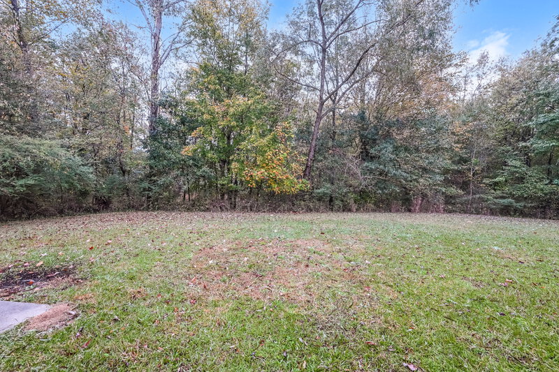 2,610/Mo, 1243 Shady Brook Ct Hampton, GA 30228 Rear View 2