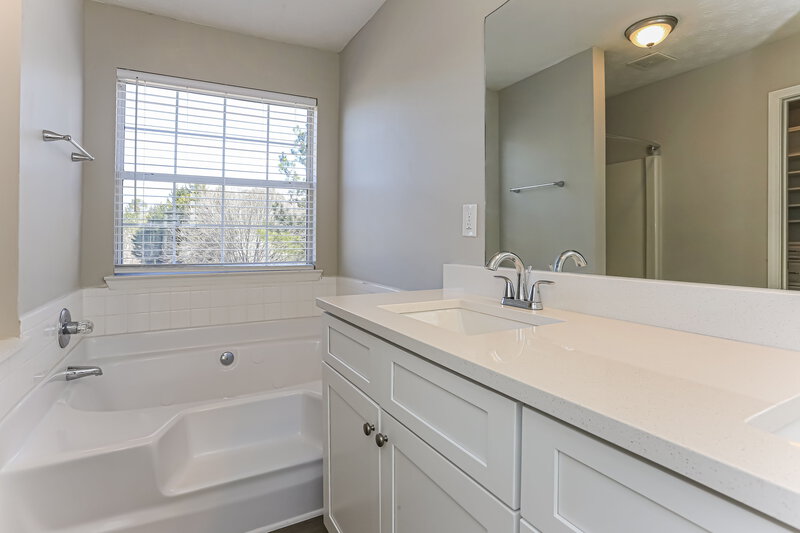 2,485/Mo, 3300 Rockmill Dr Ellenwood, GA 30294 Main Bathroom View
