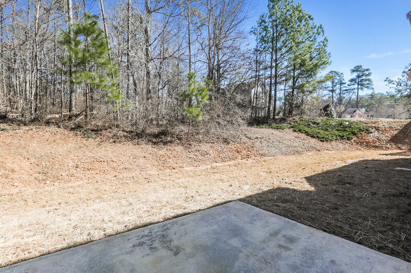 2,435/Mo, 4156 Bosenberry Way Ellenwood, GA 30294 Misc View 17