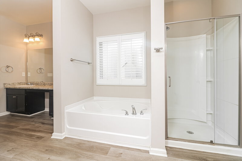 1,965/Mo, 371 Stable View Loop Dallas, GA 30132 Main Bathroom View 2